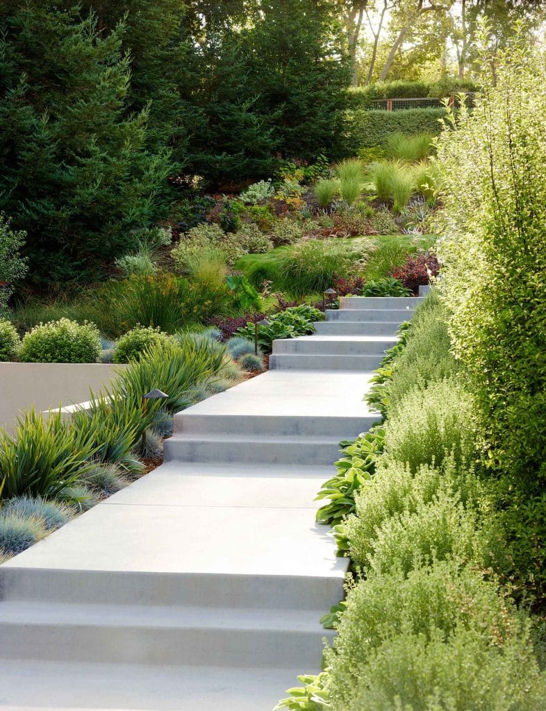 tanaman untuk halaman depan