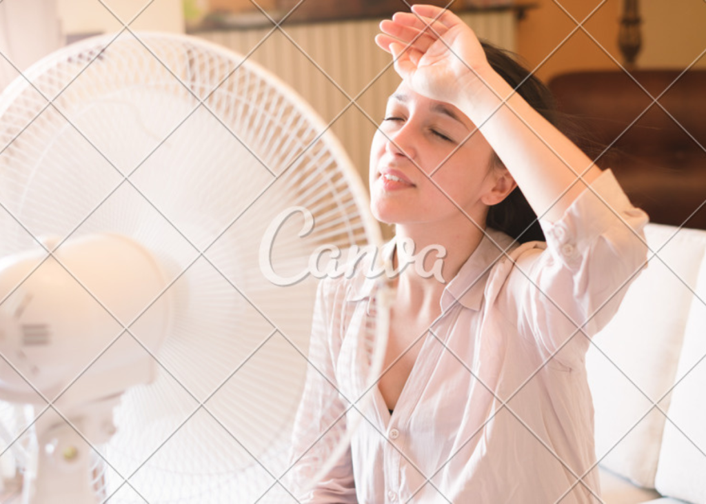 material untuk fasad rumah