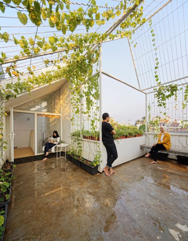Rooftop dengan tanaman rambat